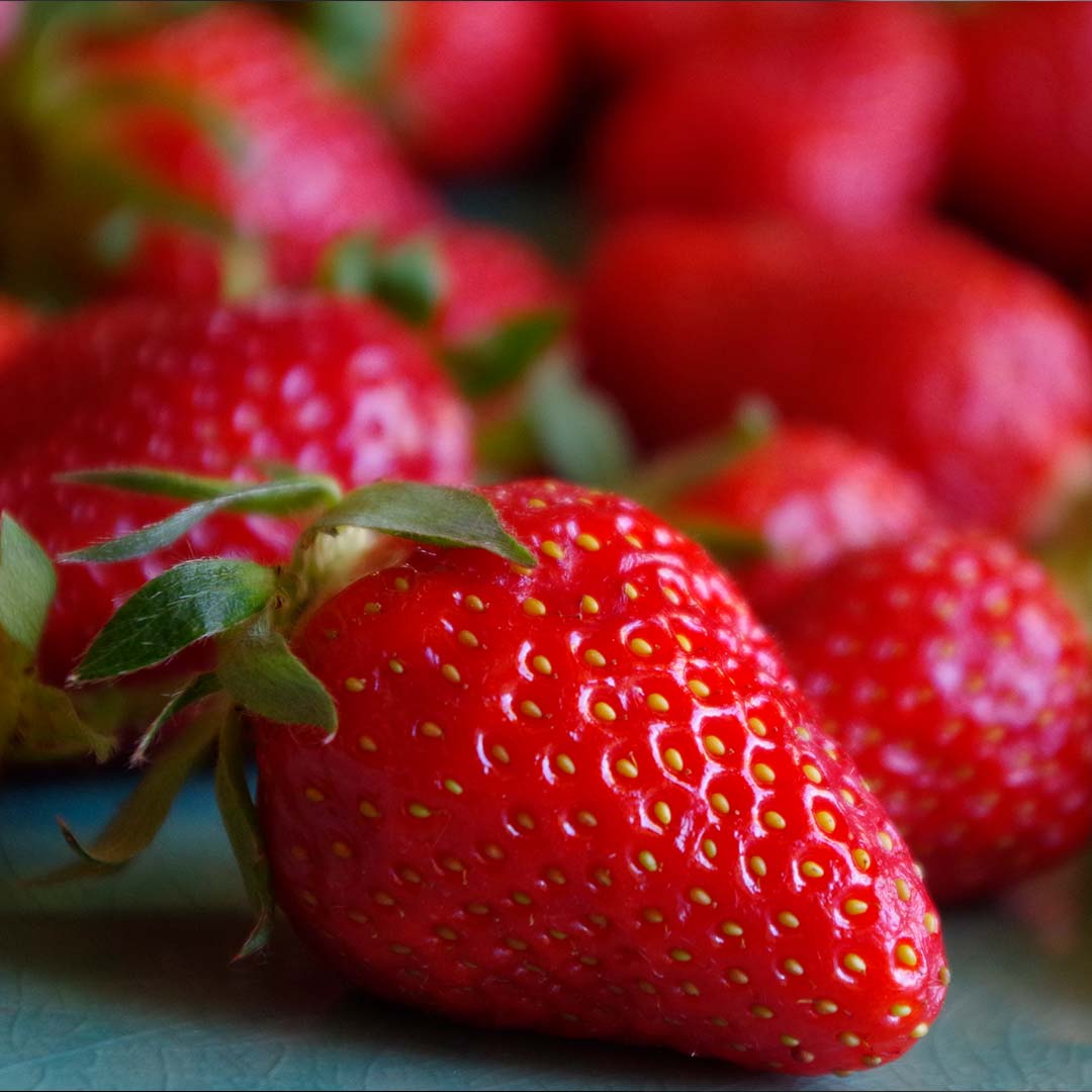 Fraise de Larache